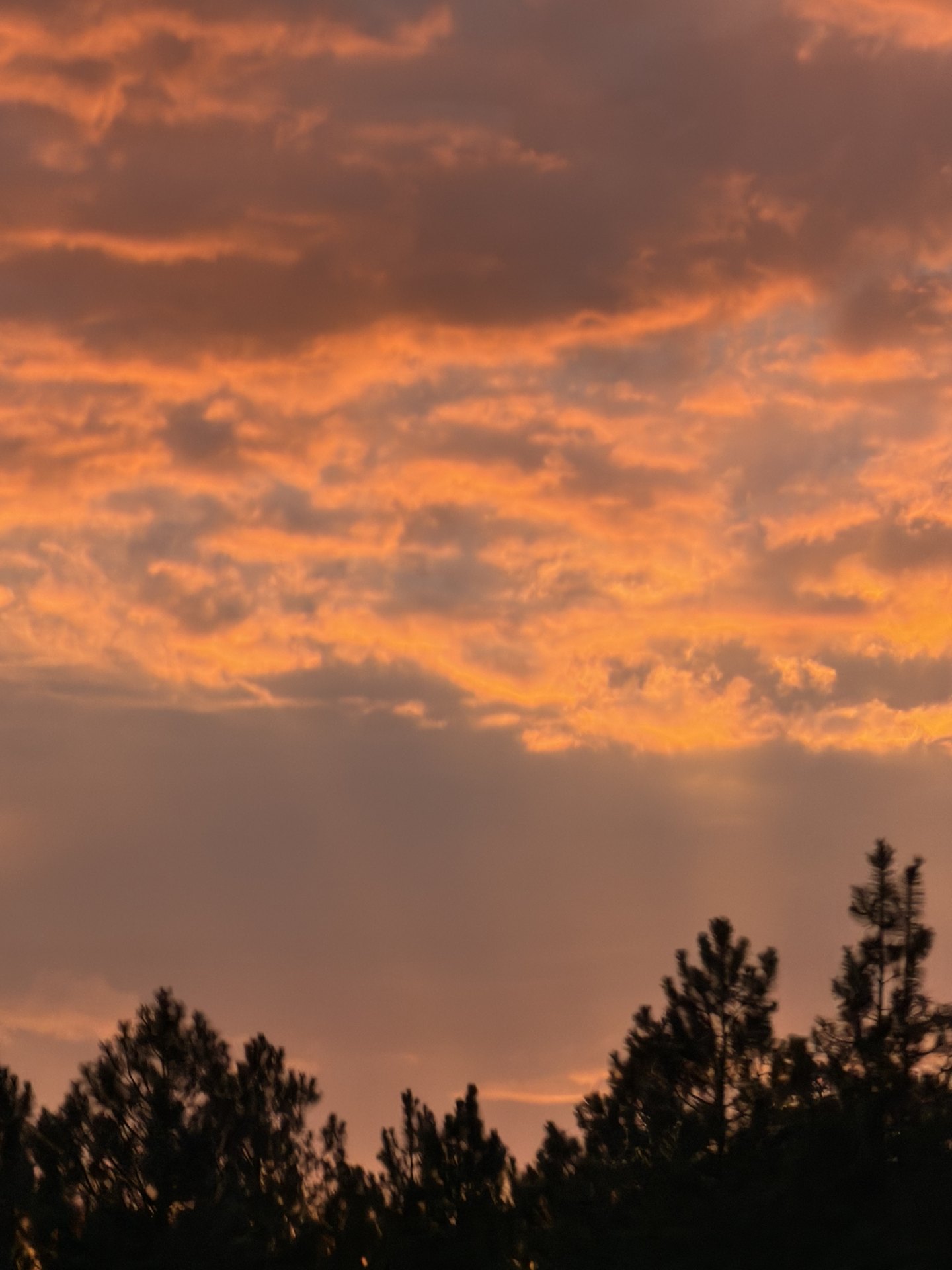 Orange sunset over ponderosa pine silhouettes in the Northern Arizona high country at the end of an RV service call
