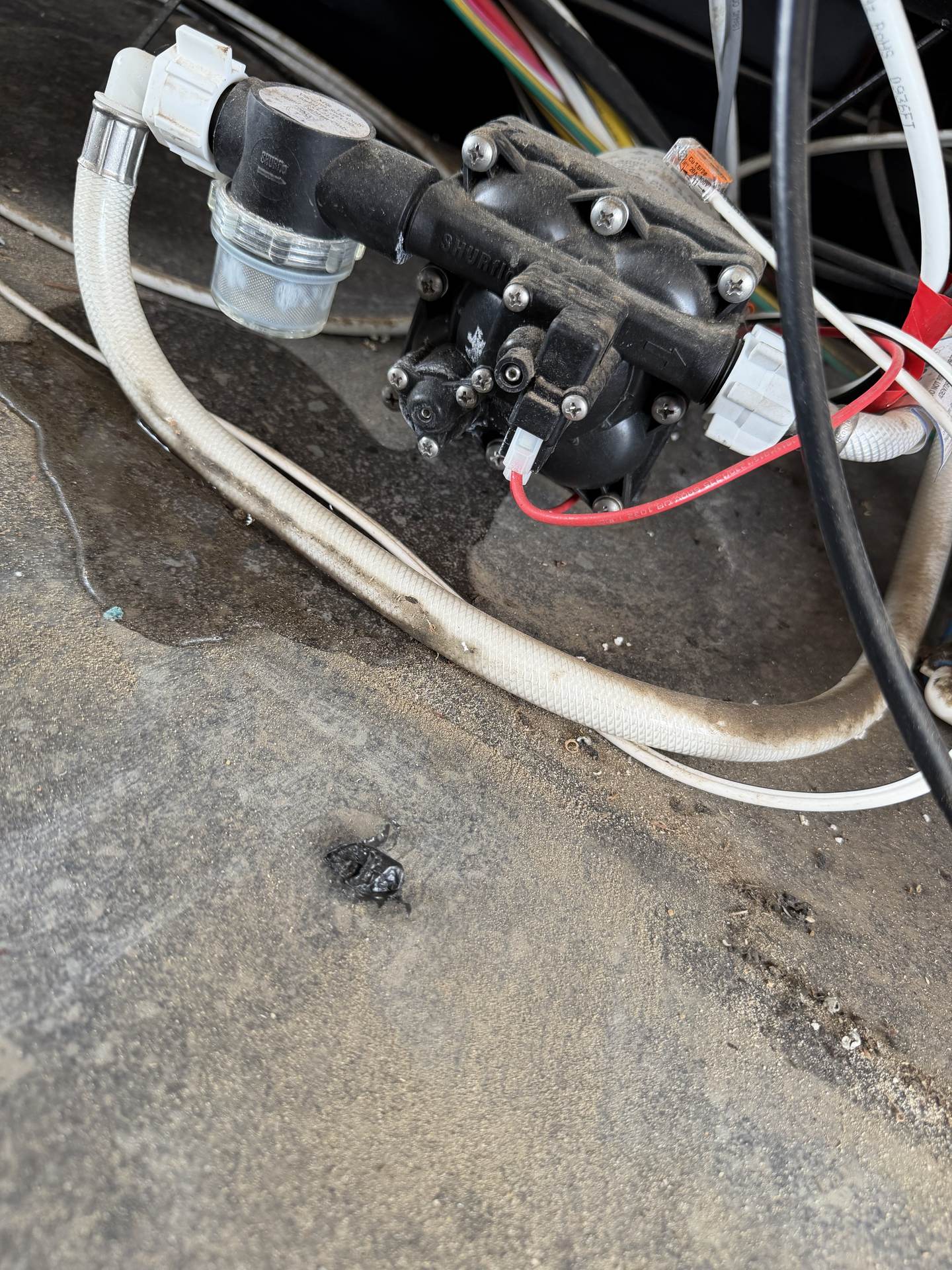 Shurflo RV fresh water pump with inlet strainer and 12V wiring mounted in a compartment during replacement